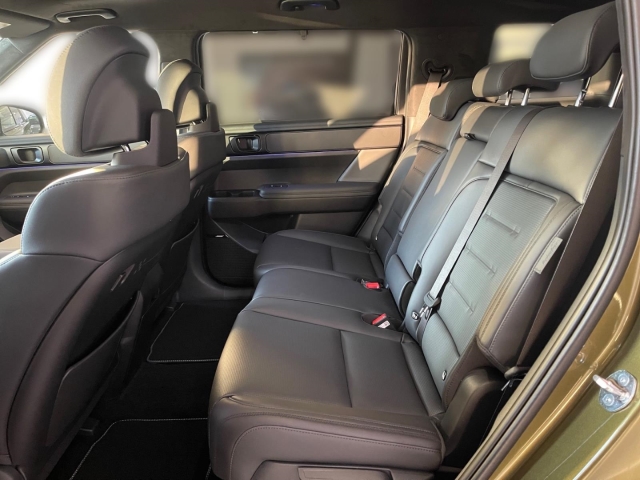 Foto 1 - SANTA FE Blackline Hybrid+HEADUP+360GRAD+GLASDACH, ocado green / mic (gruen)