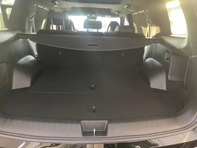 Foto 1 - SANTA FE Blackline Hybrid+HEADUP+360GRAD+GLASDACH, ocado green / mic (gruen)